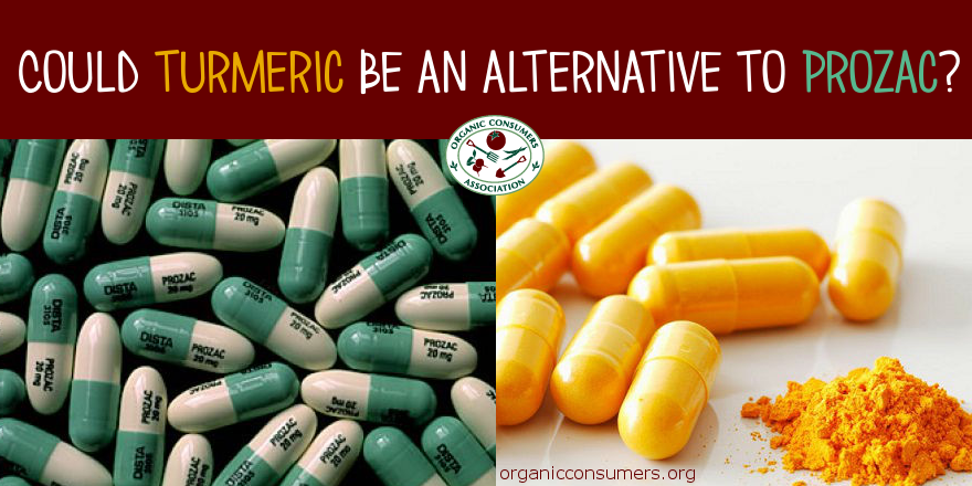 OrganicConsumer's tweet image. Turmeric may be more effective than anti-depressant drugs currently on the market! ow.ly/R9Kaz