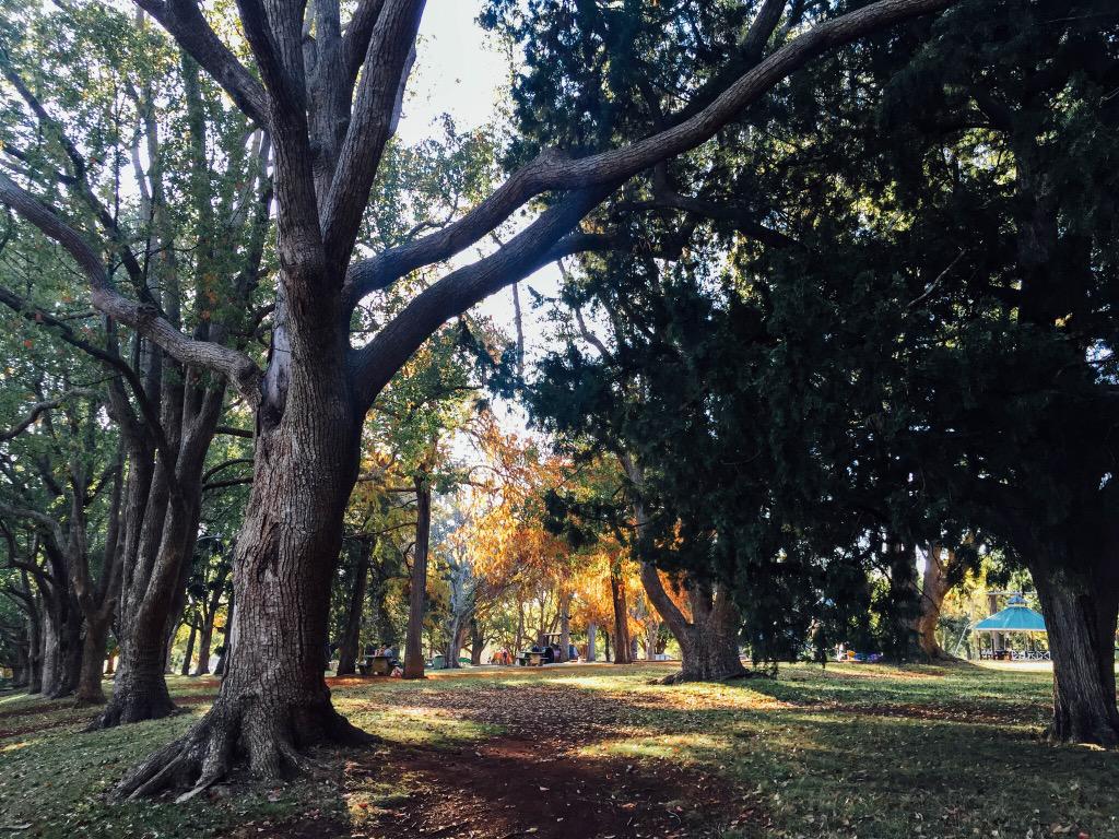 thiswandering's tweet photo. queens park // http://t.co/PST9rJd9zt #toowoombaregion #toowoomba #tcof2015 #thisisqueensland #australia #parks http://t.co/ZX5g1DR7bR