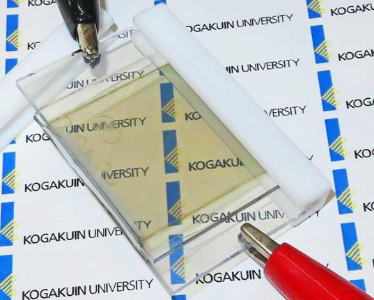 dtdchange's tweet photo. Breakthrough transparent battery captures and stores energy from the sun http://t.co/OVLNWFoIdz http://t.co/KTyGGXV2az