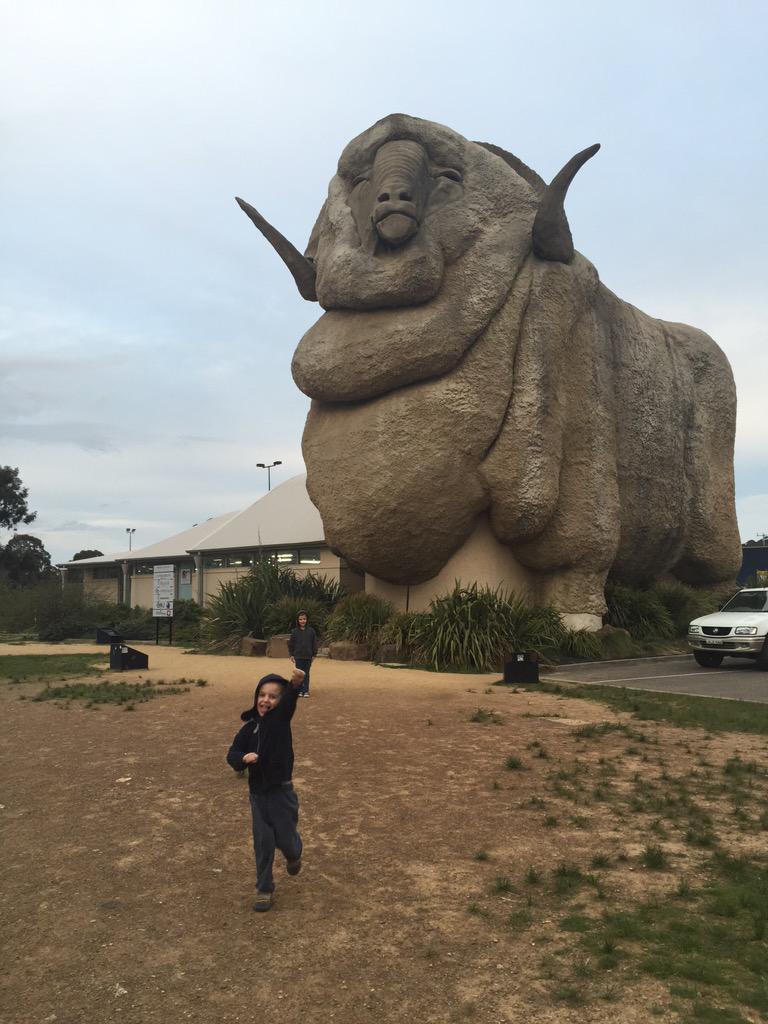 EMS_Junkie's tweet photo. Only a few hours left to get home from our whirlwind trip to Melbourne for the #SPA2015Conf & #FernoSim @Goulburn http://t.co/ZbN2iBqvwJ