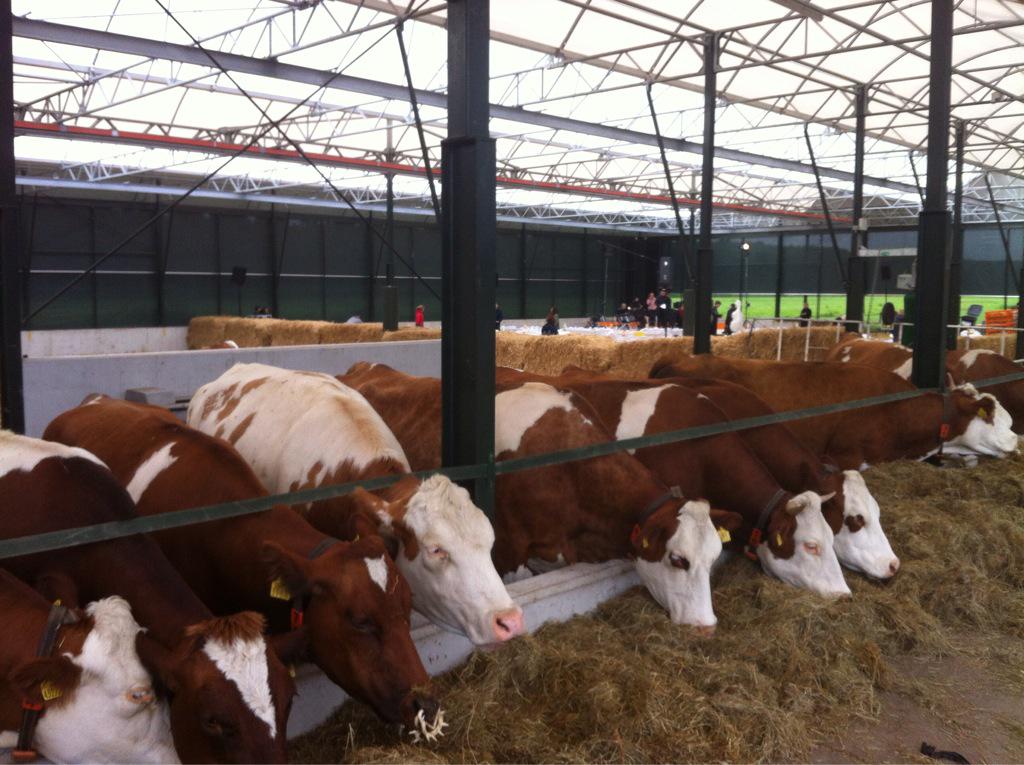 Straks concert met <a href="/sinfoniardam/">Sinfonia Rotterdam</a> op een wel héél bijzondere locatie <a href="/BieslandDagen/">BieslandDagen</a>