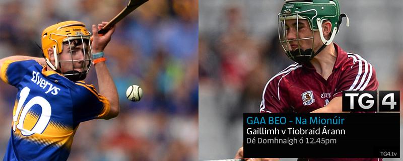 SportTG4's tweet photo. Two strong teams, one #AllIreland winner.
Watch the All Ireland Minor Hurling Final Live on #TG4 today from 12.45pm http://t.co/njNIazg2ZF