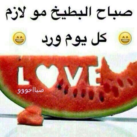 زهرة التوليب Pa Twitter صباح البطيخ مو لازم كل يوم ورد Http T Co Xkyrqnvnd6