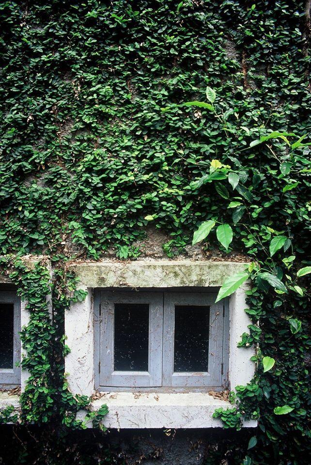 kaomailanna's tweet photo. กำแพงเขียว เขียว#i❤️green#sustainablebuilding#heritage#historic#barns http://t.co/tucPtuZr1r