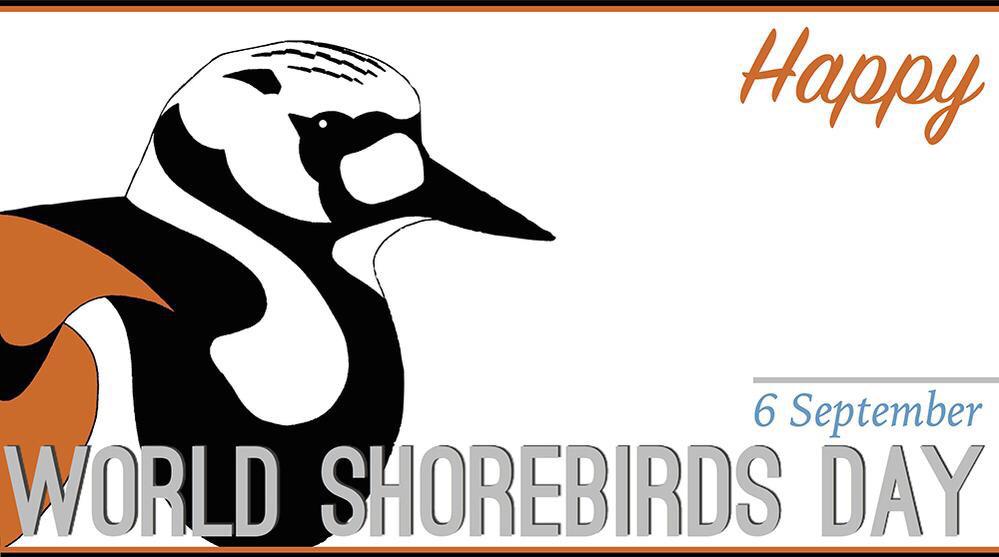 ShorebirdsDay's tweet image. 