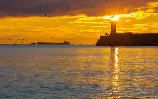 Lewislaw1Max's tweet image. Good Morning!
Whoever fears the Lord has a secure fortress,and for their children it will be a refuge.-Proverbs 14:26