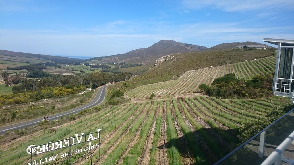 What a beautiful day...#unreal, #braaisunday #discovertheoverberg