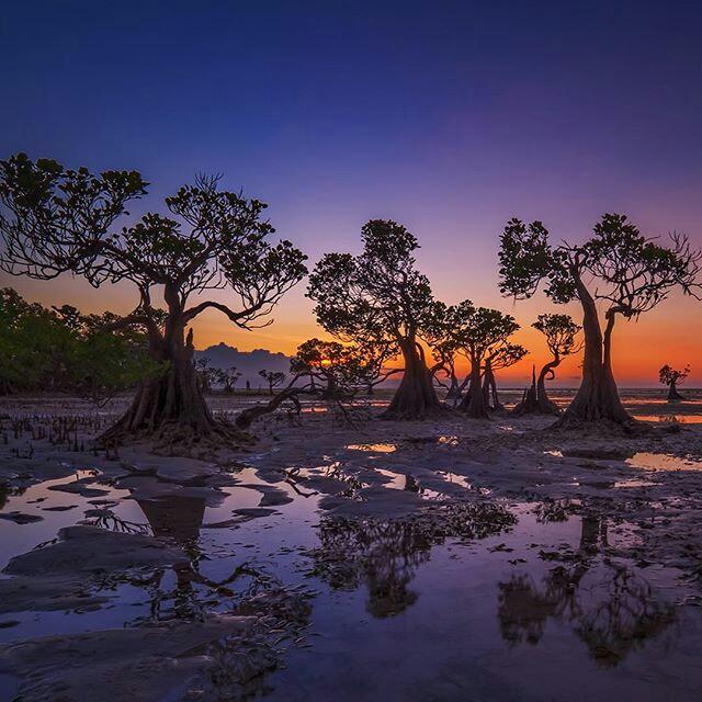 justbeautyphoto's tweet photo. #Walakiri East #Sumbo #lndonesia photo by Shirley Hamra http://t.co/Wxi9ZH9z1s