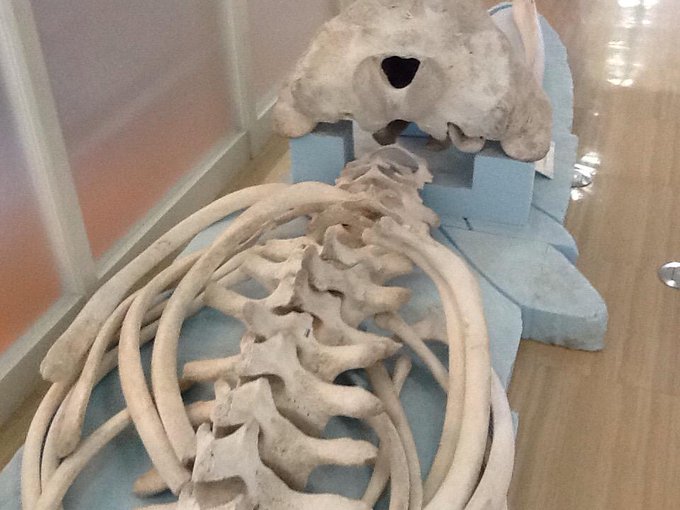 坂本葵 Aoi Skmt 15年09月 Twilog