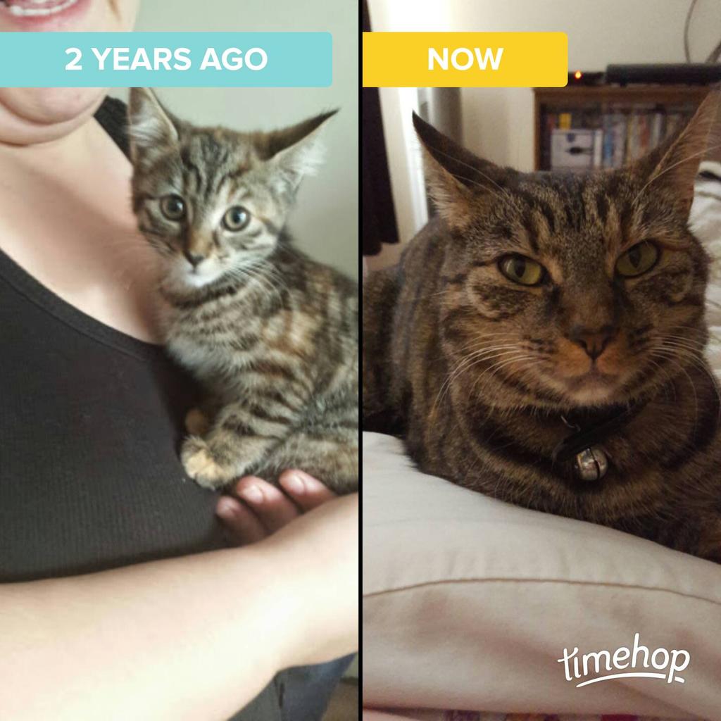 barberbean's tweet photo. Exactly 2 years ago today! via @timehop  http://t.co/mxM5Fs4Oaz http://t.co/KcwDvfU5yw
