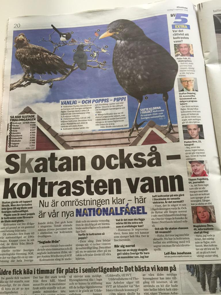magdalenaohrn's tweet photo. Vann rätt fågel? Tycker till i Aftonbladet. http://t.co/t0zdtSR7U5