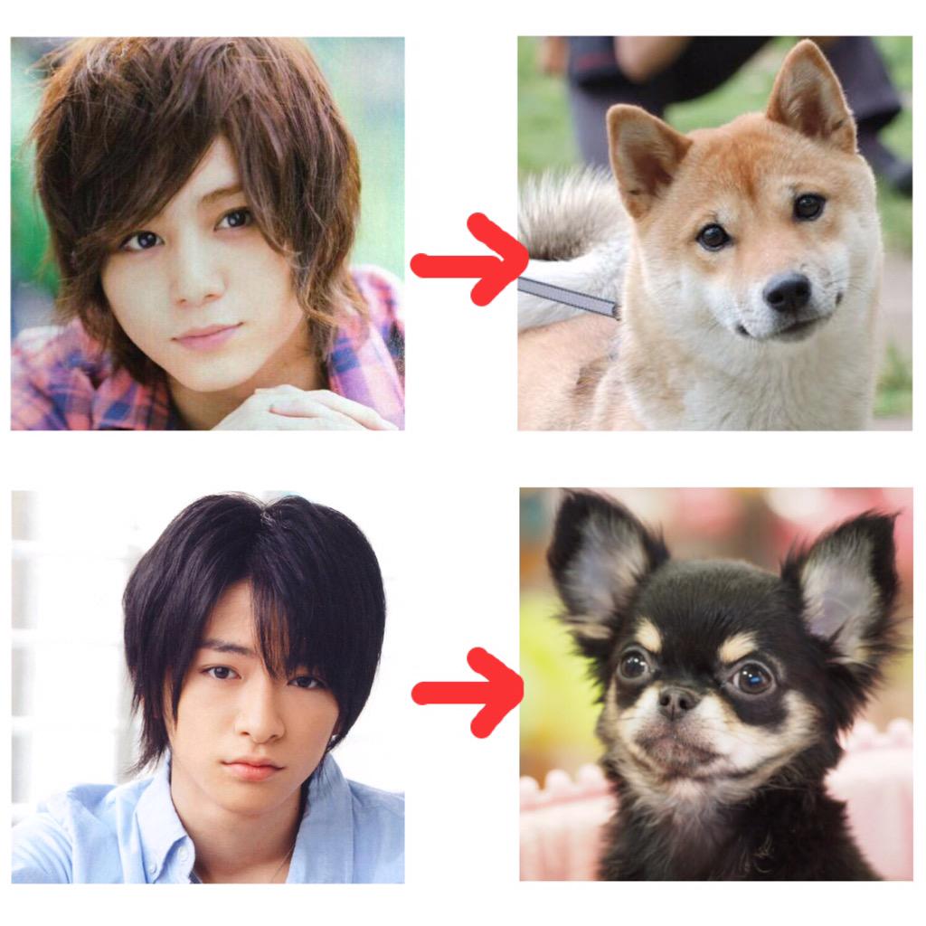 Yama509_Taka326's tweet photo. JUMPが犬になったら大体こんな感じなんだろうなって思ってる੯ੁૂ‧̀͡u\ http://t.co/XzP4kiWjff