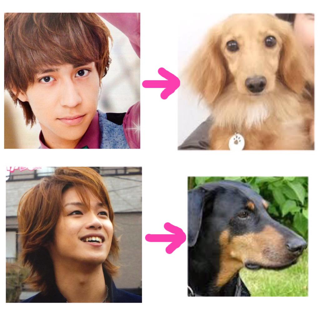 Yama509_Taka326's tweet photo. JUMPが犬になったら大体こんな感じなんだろうなって思ってる੯ੁૂ‧̀͡u\ http://t.co/XzP4kiWjff