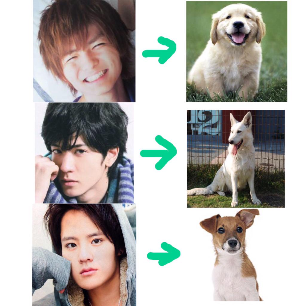 Yama509_Taka326's tweet photo. JUMPが犬になったら大体こんな感じなんだろうなって思ってる੯ੁૂ‧̀͡u\ http://t.co/XzP4kiWjff