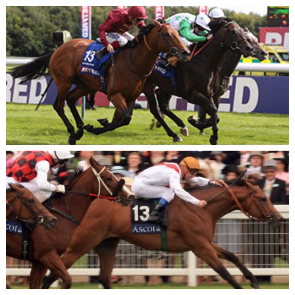 tequilaqueen07's tweet photo. #LUCKY13 #STRATHBURN  nearly emulates his sire #EQUIANO in winning his first Gr1 @newsellspark @adam_sangster http://t.co/6QyWzBxFps