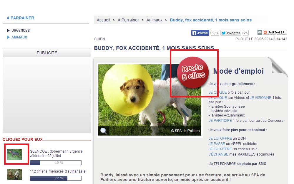 estiekretschmer's tweet image. #ClickToHelp actuanimaux.com/a-parrainer Click on any image in L-hand column. Click 5x on red circle. Move to next image.