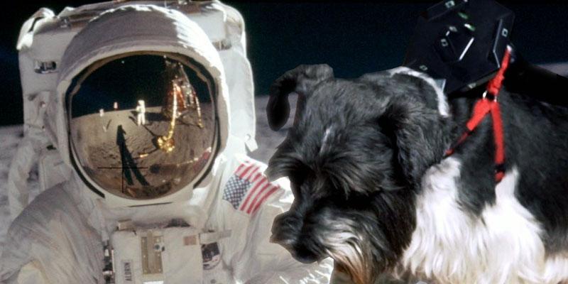 DailyVRcom's tweet photo. Un #VRDog et un papa dans l'espace : la #revueduwebVR fait sa rentrée! #HTCVive #OculusRift http://t.co/JJ924Va0Aj http://t.co/y7a8ewlqUQ
