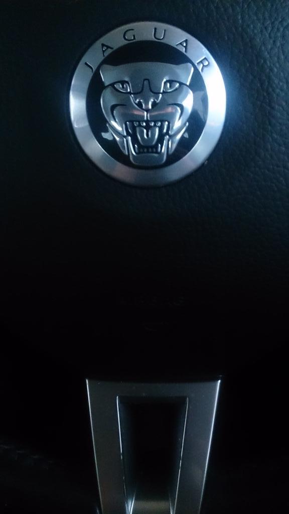 RascalTiny's tweet image. 