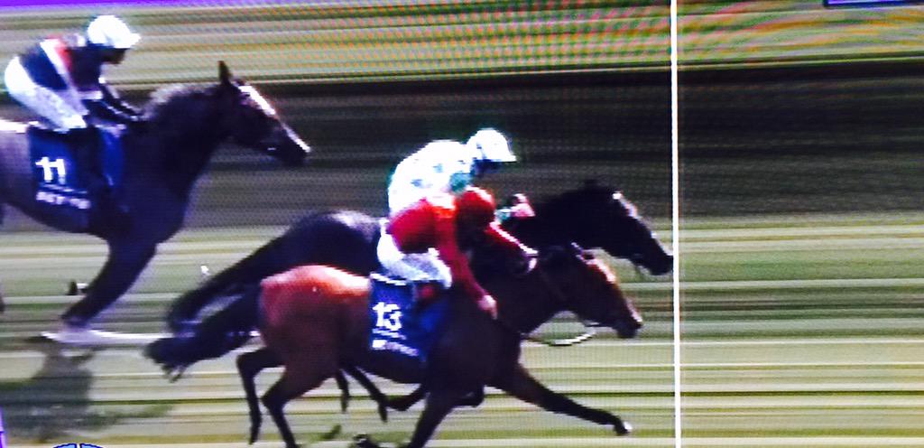 tequilaqueen07's tweet photo. #STRATHBURN Equiano 3C from gate16 just misses in Gr1 Betfred Sprint Cup to Twilight Son at Haydock @adam_sangster http://t.co/8RtEe2KOjV