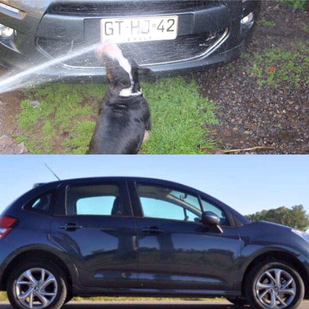 nfgmiguel's tweet photo. Favor ayudar a buscar auto robado en 5 de abril con las rejas es un citroen c3 #autosrobadoschile @PapeSalazar http://t.co/00ydYY2csW