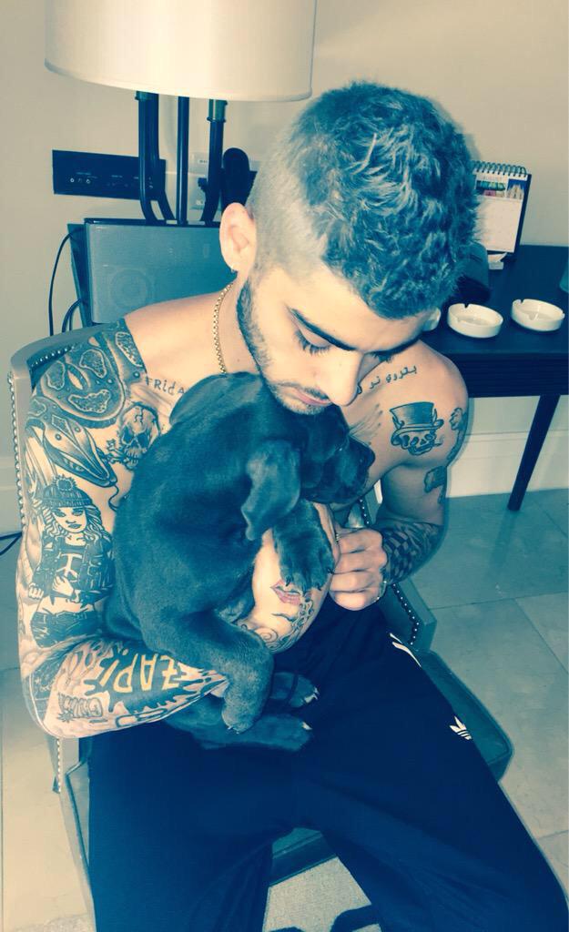 rtyourmancandy's tweet photo. Zayn Malik http://t.co/bKqHPM2NhI
