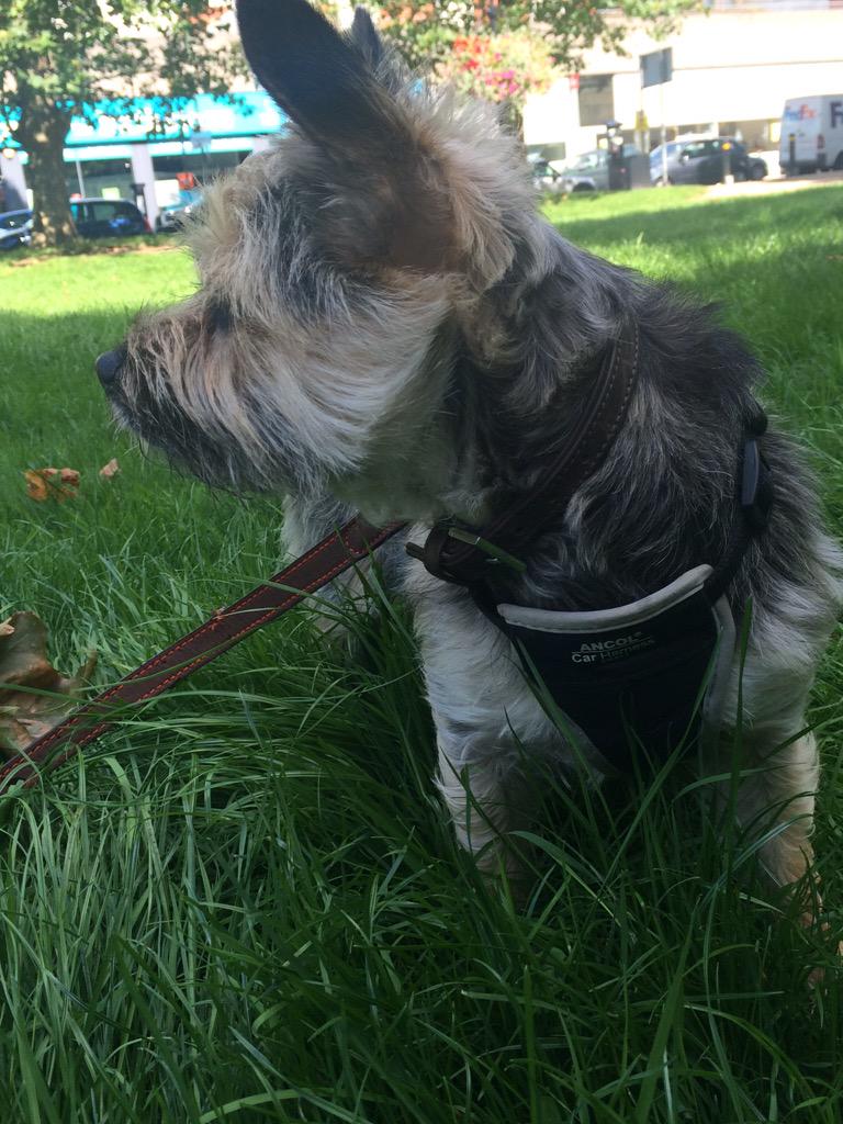 Having a mooch, eying up the ladies