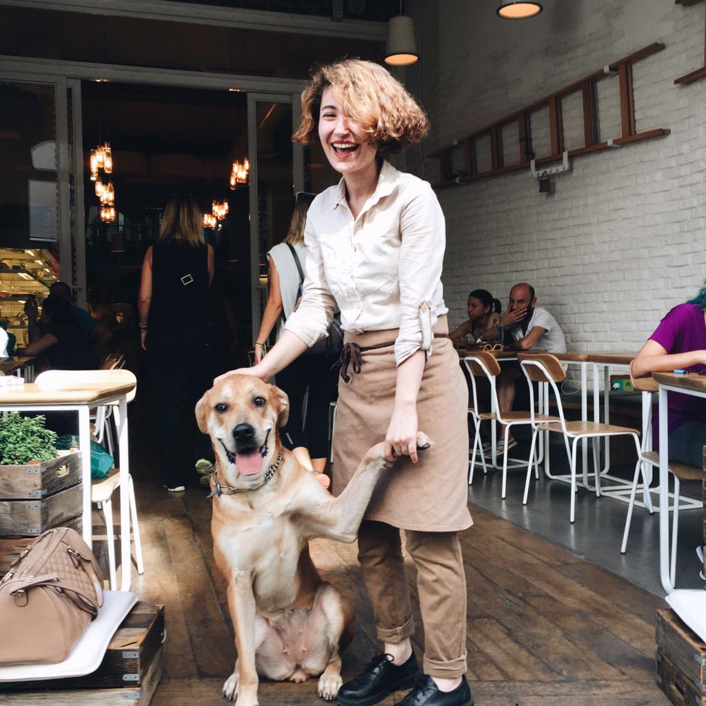 Pazar kahvaltısını yapmaya gelen küçük bir dostumuz daha var. 🙋🏼🐶 #petfriendly #pluskitchentr #pazar