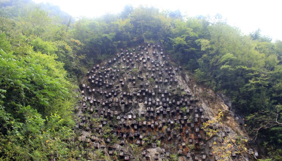 XHNews's tweet photo. Beekeepers in C China install hundreds of hives on cliff to attract bees, creating arresting view http://t.co/O3J6Wk2r5D
