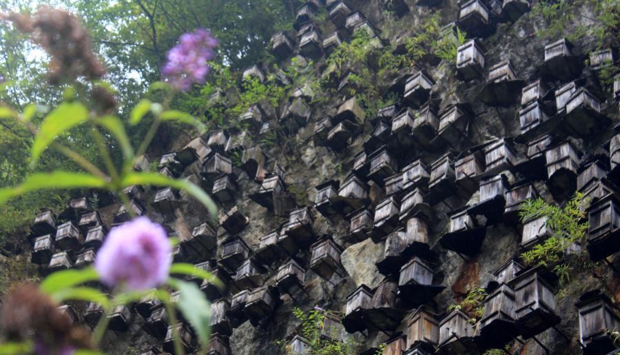 XHNews's tweet photo. Beekeepers in C China install hundreds of hives on cliff to attract bees, creating arresting view http://t.co/O3J6Wk2r5D