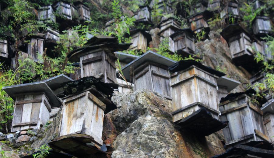 XHNews's tweet photo. Beekeepers in C China install hundreds of hives on cliff to attract bees, creating arresting view http://t.co/O3J6Wk2r5D