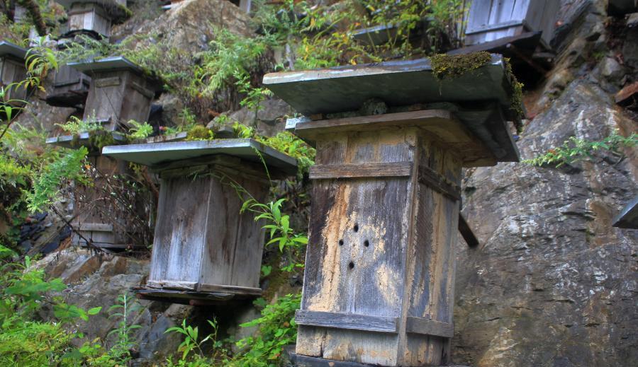 XHNews's tweet photo. Beekeepers in C China install hundreds of hives on cliff to attract bees, creating arresting view http://t.co/O3J6Wk2r5D