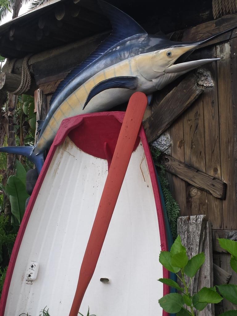 TheLeisureProf's tweet photo. Lowtide Lous. http://t.co/MLM1qDxIFX
