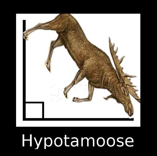 LearnHSCMaths's tweet photo. A Friday Math Funny for you all! Have a great weekend! #HSC #HSC2015 #MathFunny http://t.co/MiC01zefa7