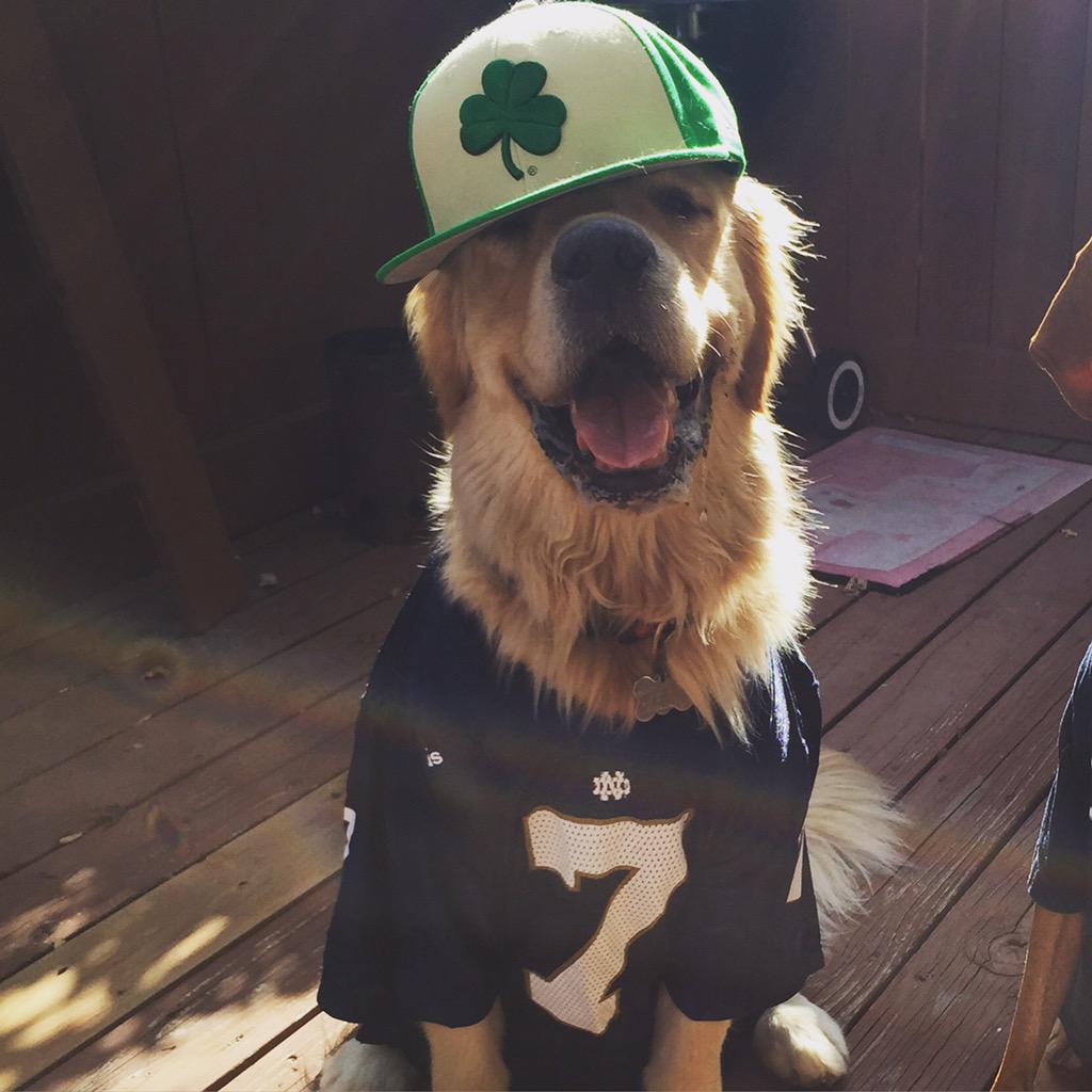 NYCBurt's tweet photo. Heck ya I was the #goodluck charm yesterday #goirish @NDFootball @FightingIrish #NDvsTexas http://t.co/EivwqpeQNy