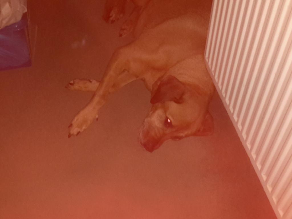 Tobyconoby's tweet image. 