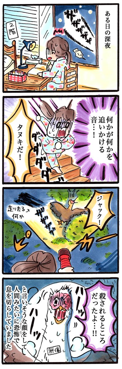 動物4コマ日記#18「片目のジャック、危うし」#鳥 #4コマ 