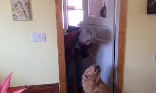 Jennifer_TPar's tweet image. All She Wants Is A Kiss, But Her Dog Is Emotionally Unavailable  LOL ow.ly/RQVjL