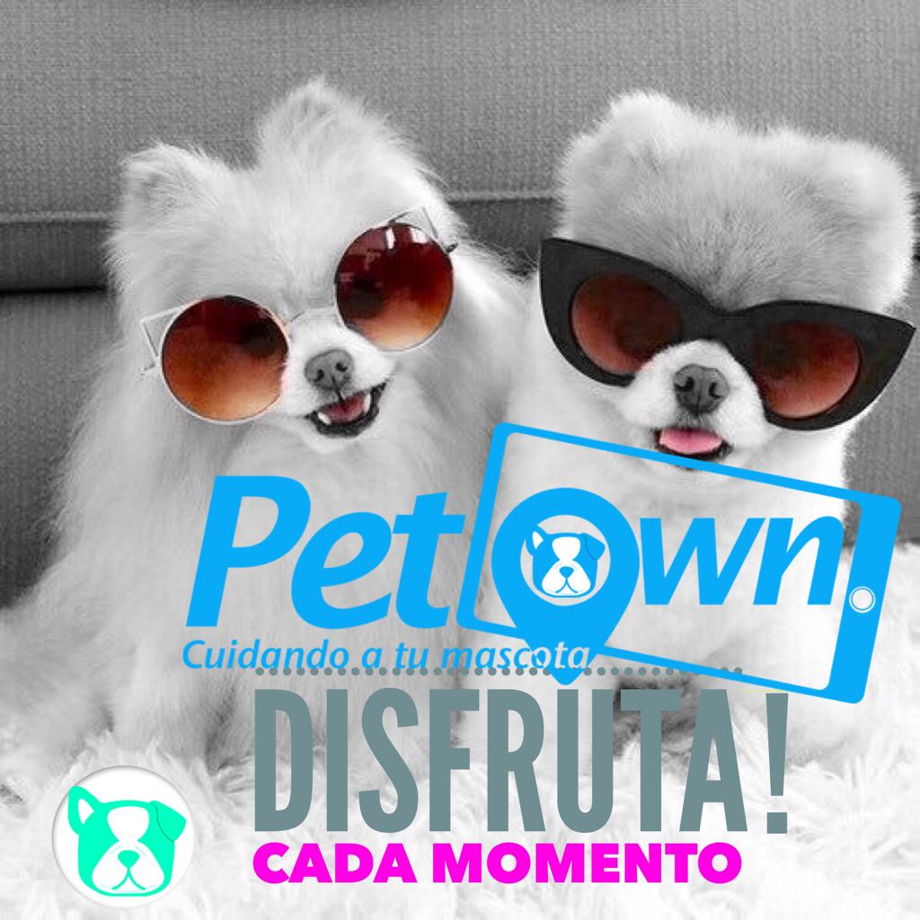 pet_own's tweet photo. domingo para compartir con nuestros seres queridos. amen, cuiden &amp; protejan a sus mascotas. #elamortransforma http://t.co/BbBRZgD1DI