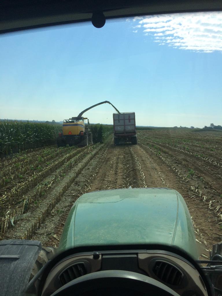 GarrettHackman1's tweet photo. Best time of the year! #cornsilage2015 #HMC http://t.co/kQv0V50ie3