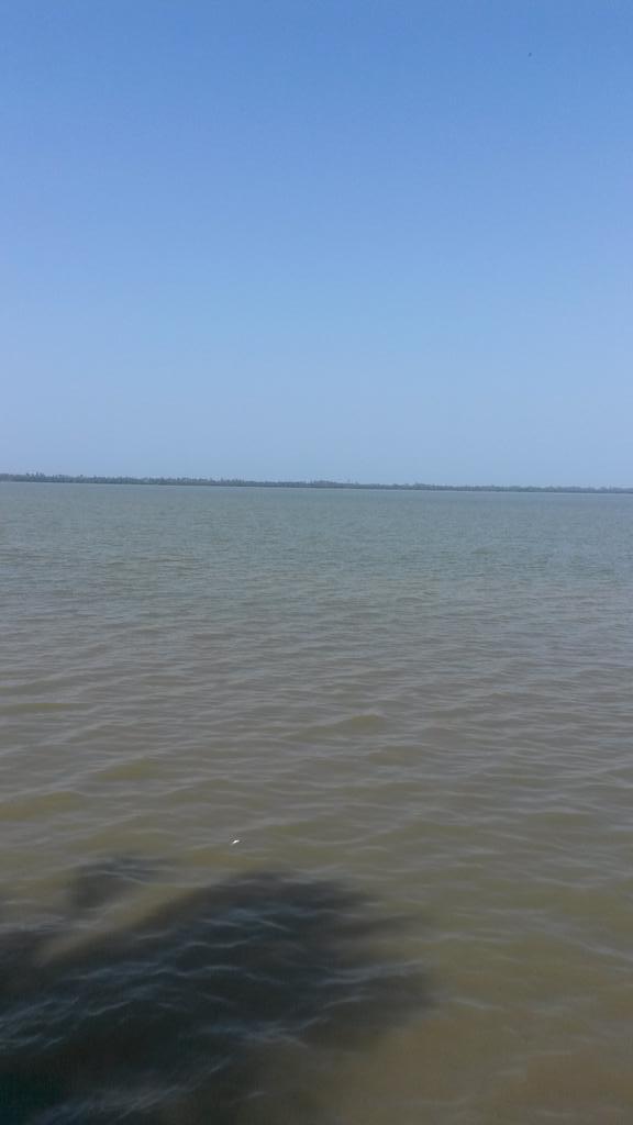 ManwilM's tweet image. 