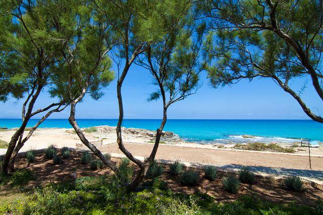 Apartamentos Es Caló
Esta es tu casa
#septiembre #vacaciones #Formentera 
facebook.com/apartamentoses…