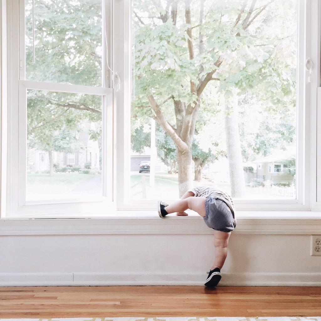 burtsbrisplease's tweet photo. @tagitjj theme: determination http://t.co/q400bdHb2X