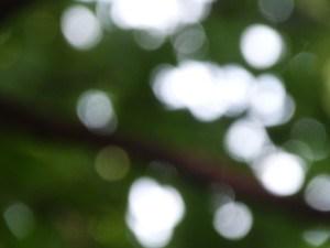 Memory acourseoflove.com/memory/