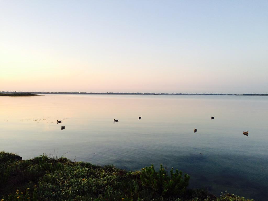 Great morning out,<a href="/EleyHawk/">ELEY HAWK Ltd.</a> carts did the business. <a href="/fieldsportstv/">Fieldsports Channel</a>. Few birds bagged,all in a day's work #wildfowling