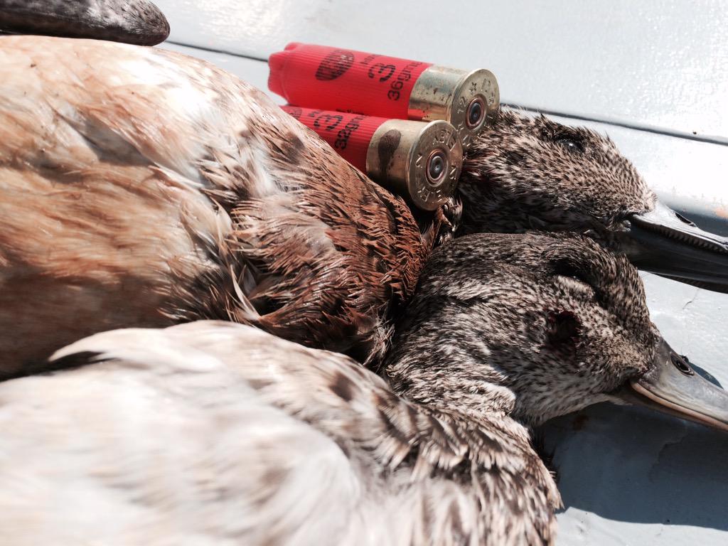 MPK Custom Calls tweet media