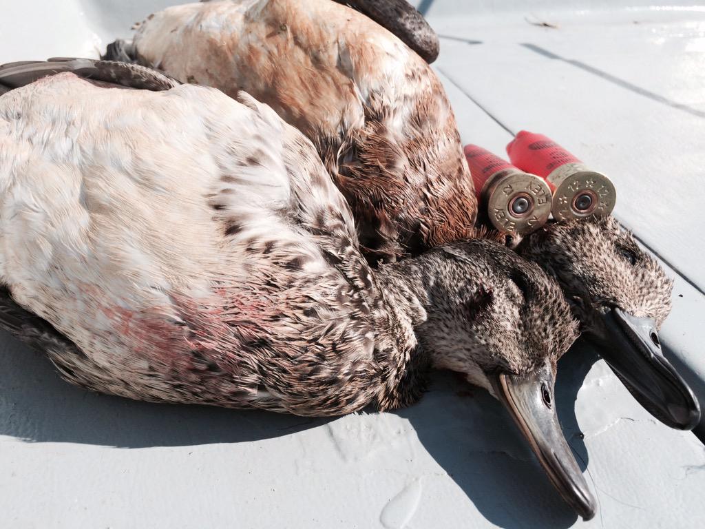 MPK Custom Calls tweet media