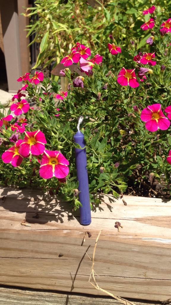 GenderWax's tweet photo. having fun in southern Jersey! http://t.co/vKNgSfvSHF
