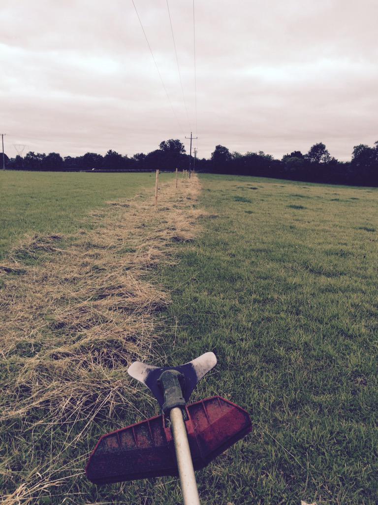 emilymacm's tweet photo. Work never stops at Lambertstown even on a Sunday!#heapsofweedeating http://t.co/VWIhYsAJTE