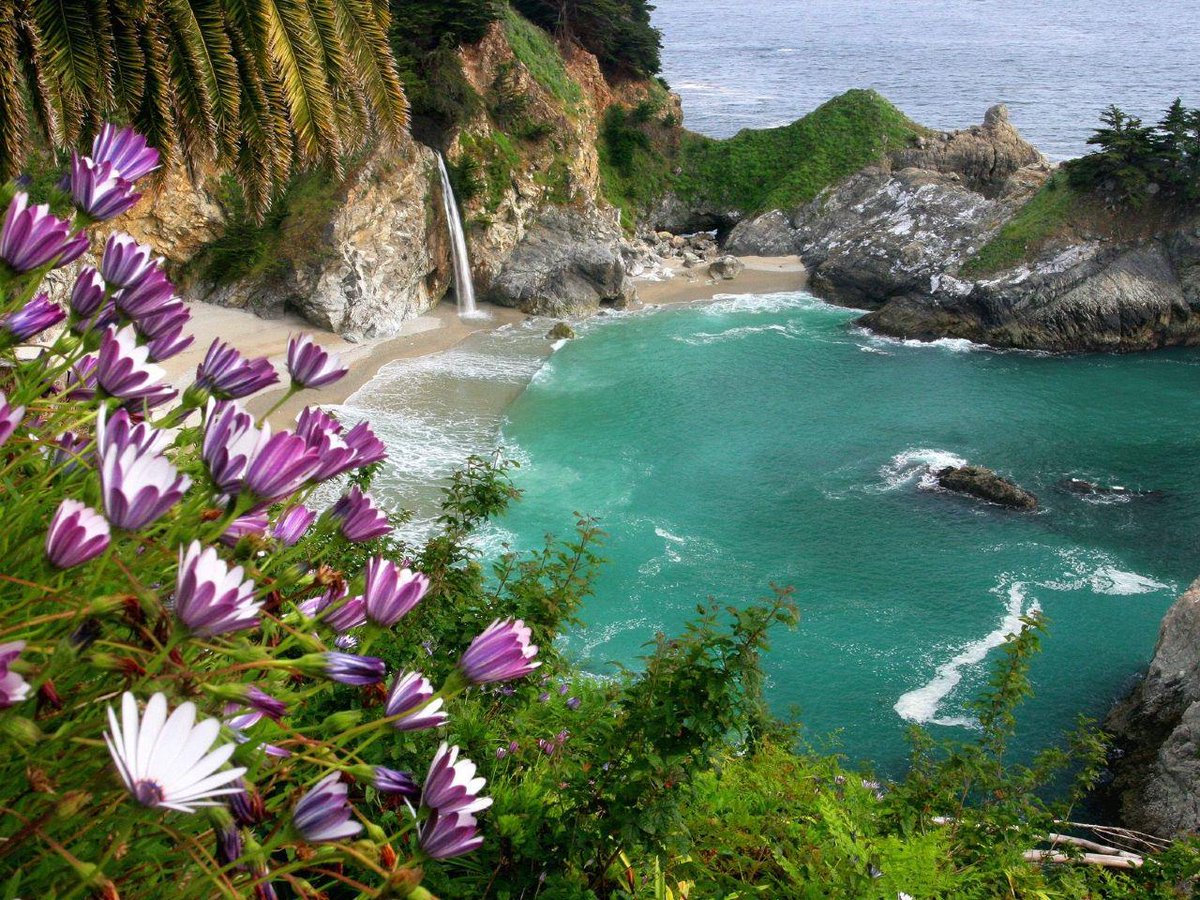CobblestoneInn's tweet photo. The beautiful McWay Falls at Big Sur.  Have you seen this in person? http://t.co/H03NffUPHW