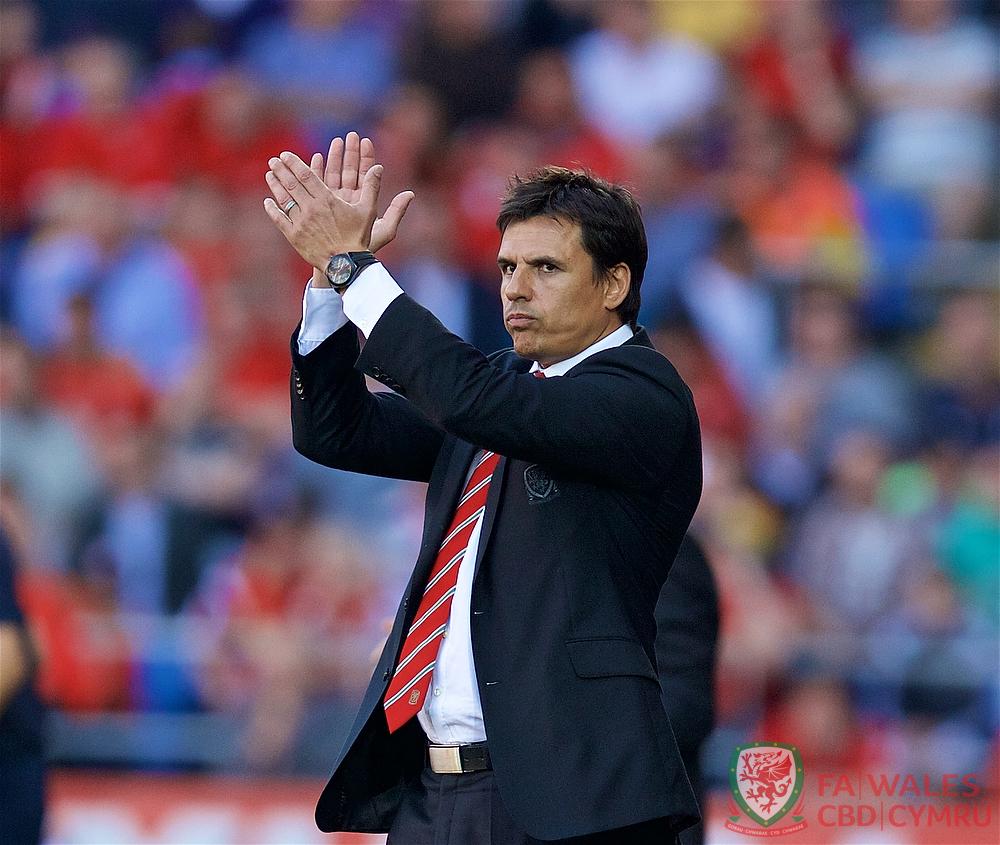 FAWales's tweet photo. We'd like to thank you all for your incredible support today. Magnificent once again. #TogetherStronger #WALvISR http://t.co/6lWKpNUc6v